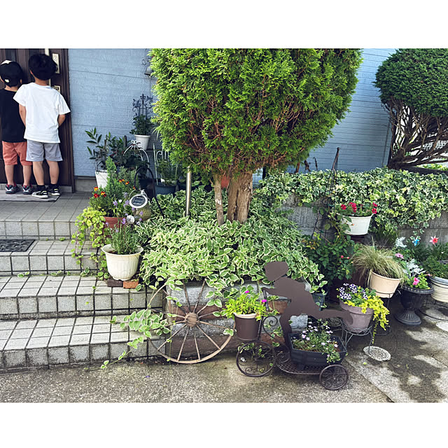 CoCo0617さんの部屋