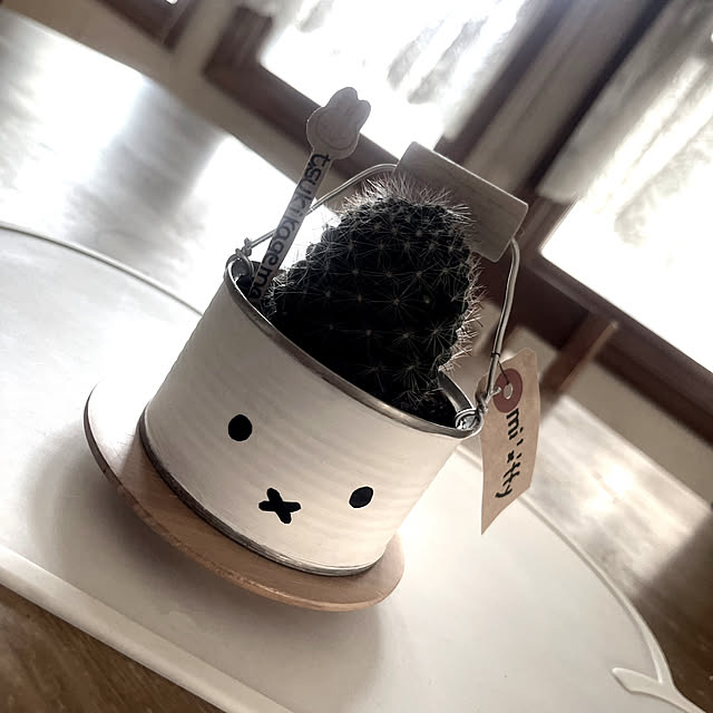 Ohigeさんの実例写真