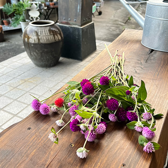 mohhaさんの実例写真
