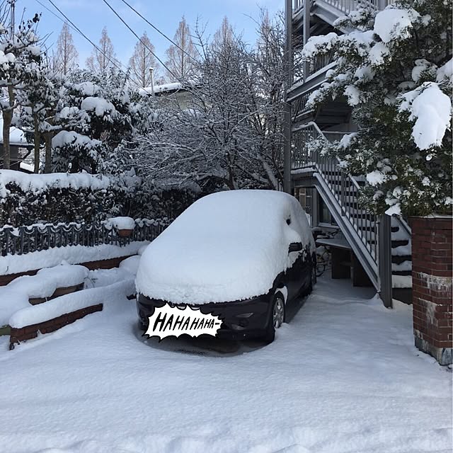 実例写真