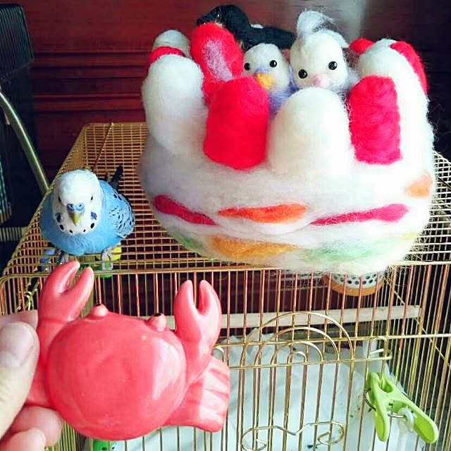 torimi4さんの実例写真
