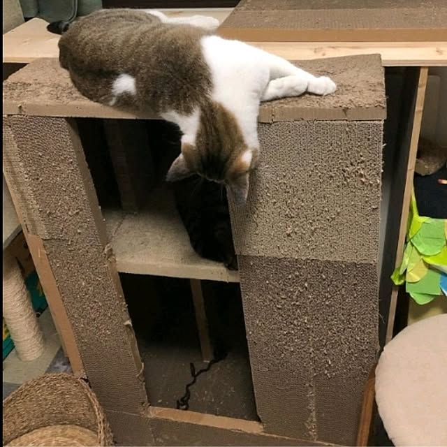 mori_6_12さんの部屋