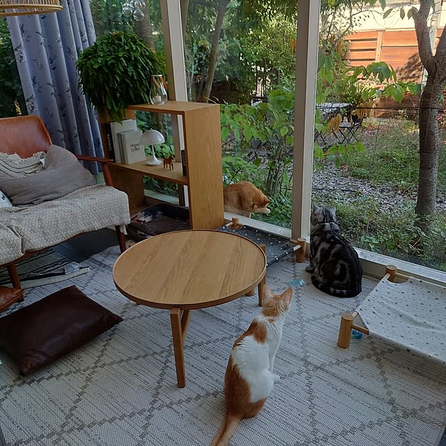 asmaさんの部屋