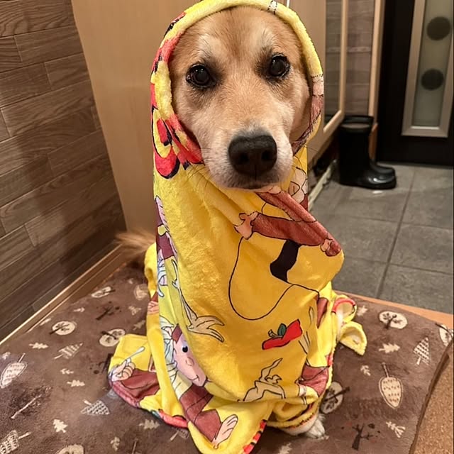 Ri-さんの実例写真
