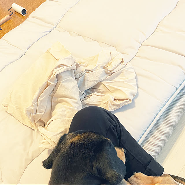 ohanaさんの実例写真