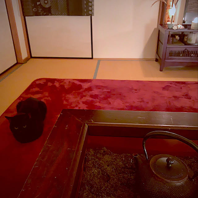 部屋全体のインテリア実例 - 2019-01-26 00:00:43
