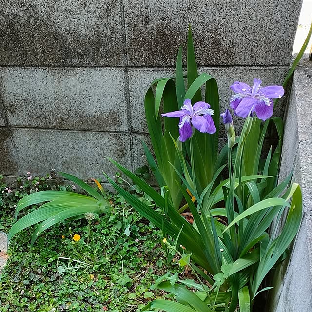mori_6_12さんの部屋