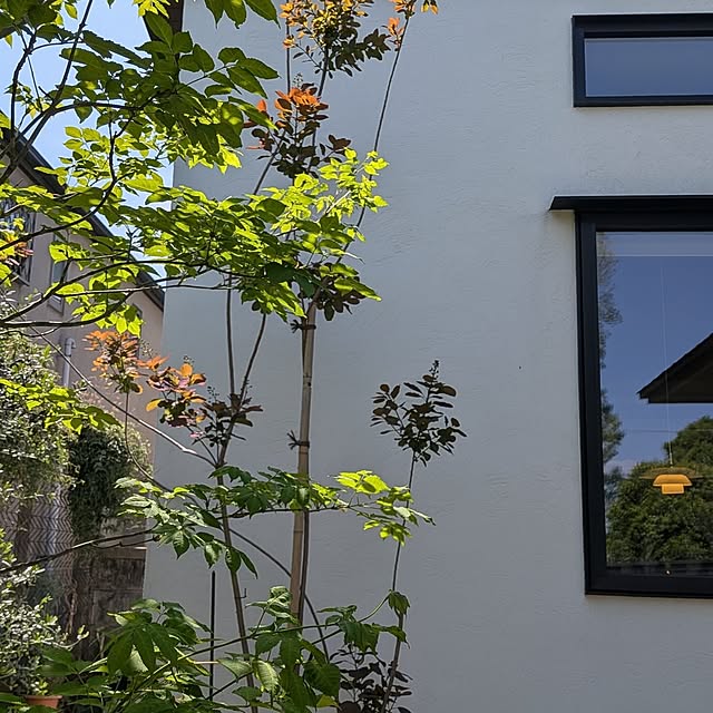 nolleyさんの部屋