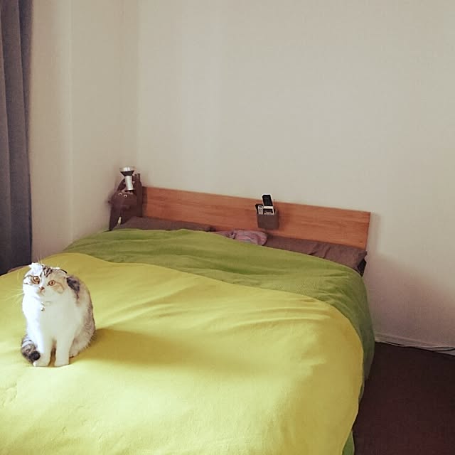 Sachiさんの実例写真