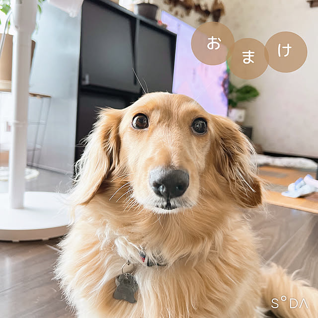-Riley-mama.-さんの部屋