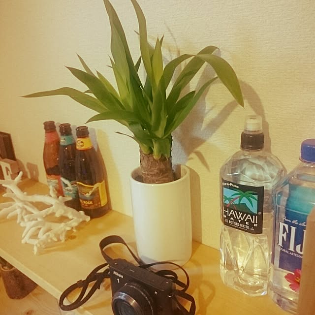 yhyさんの実例写真