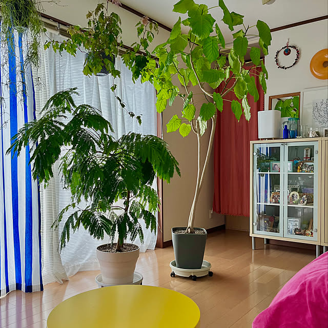 65-24oxoさんの実例写真