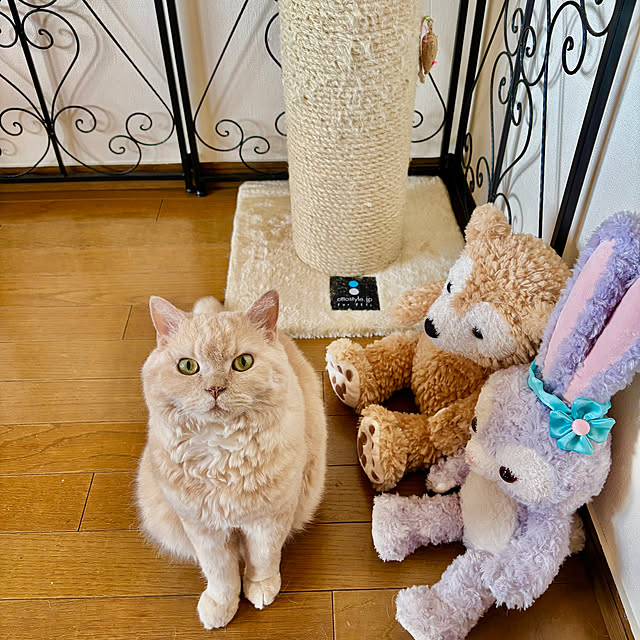 naokoさんの部屋