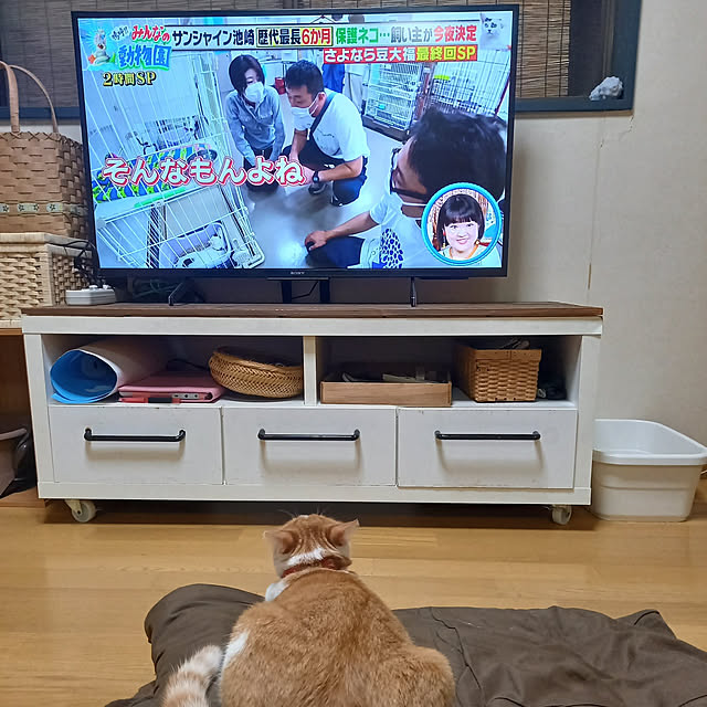 rumi.rumiさんの実例写真