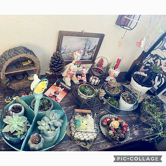 CoCo0617さんの部屋