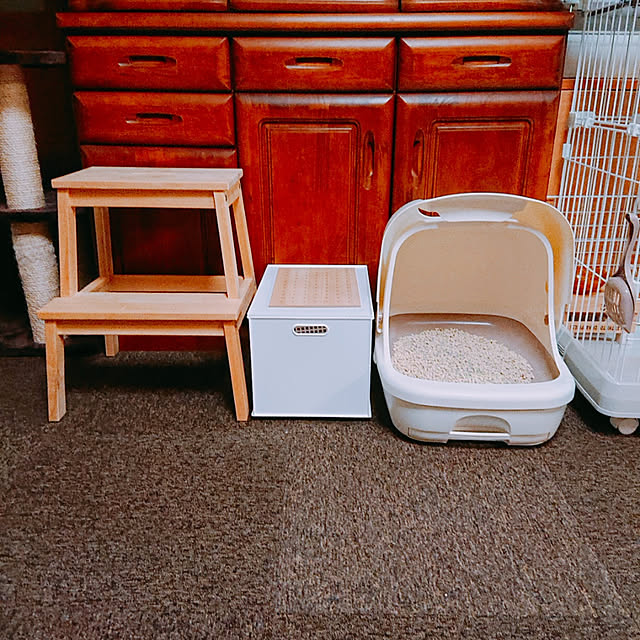 kikiさんの実例写真