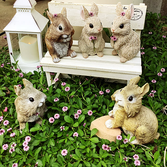 taeさんの実例写真