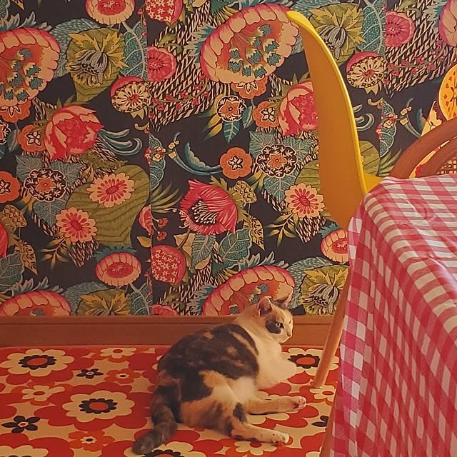 kumutanさんの実例写真