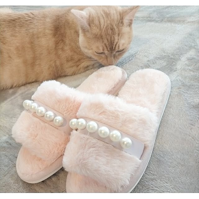 heart.emiemi57.whiteさんの実例写真