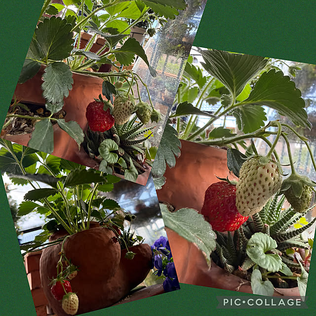 Aqettyさんの部屋