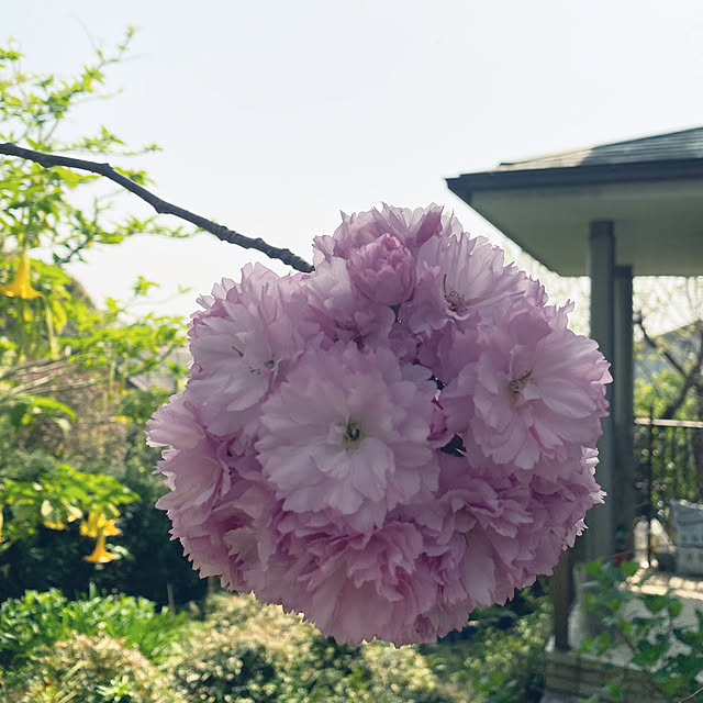 ChiCoさんの部屋