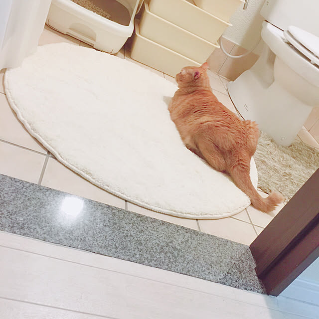 Meさんの実例写真