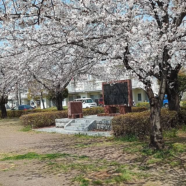 minnieさんの部屋