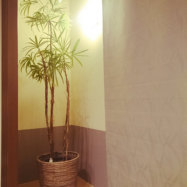 dai15kumaさんの実例写真
