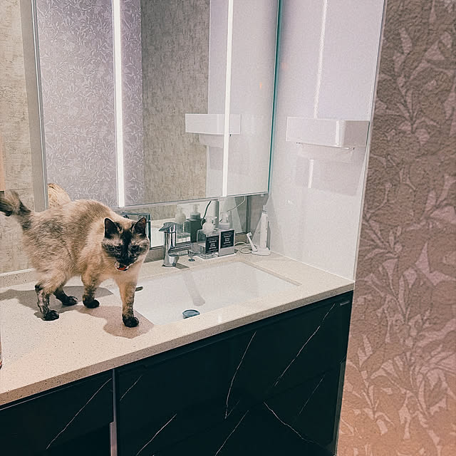 chaoさんの実例写真