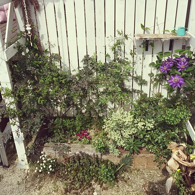 実例写真