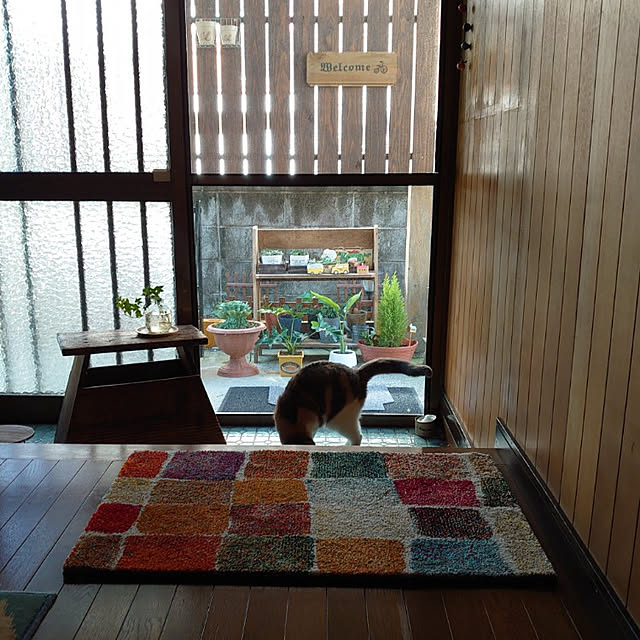 fukuさんの実例写真