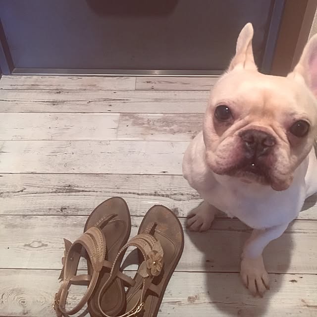 Kimmieさんの実例写真