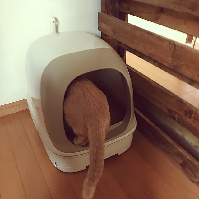 mikan161さんの実例写真