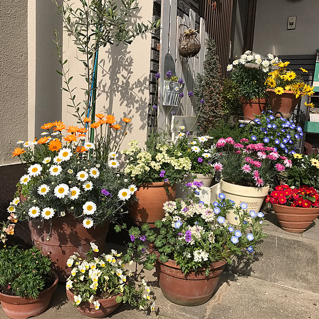 実例写真