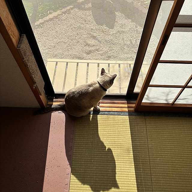 zumayanさんの部屋