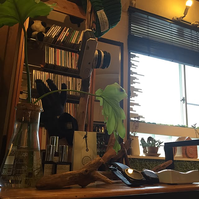 take2000kbさんの実例写真