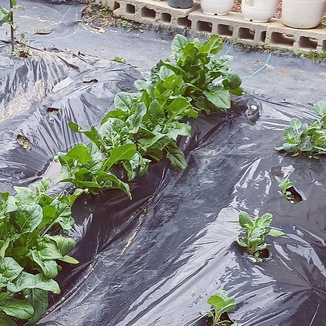 hiro.904さんの部屋