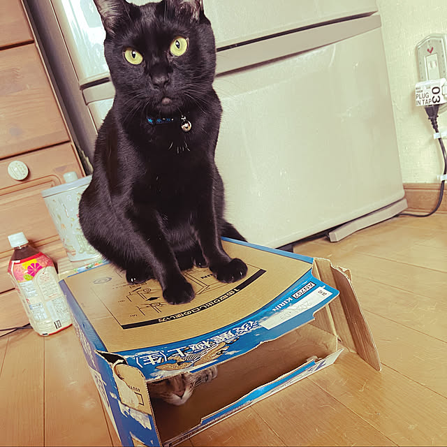 yukiyoさんの実例写真