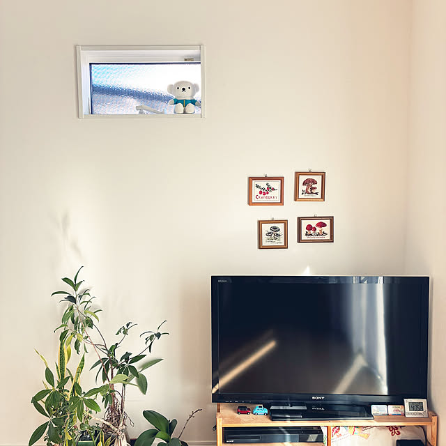 nobuyoさんの部屋