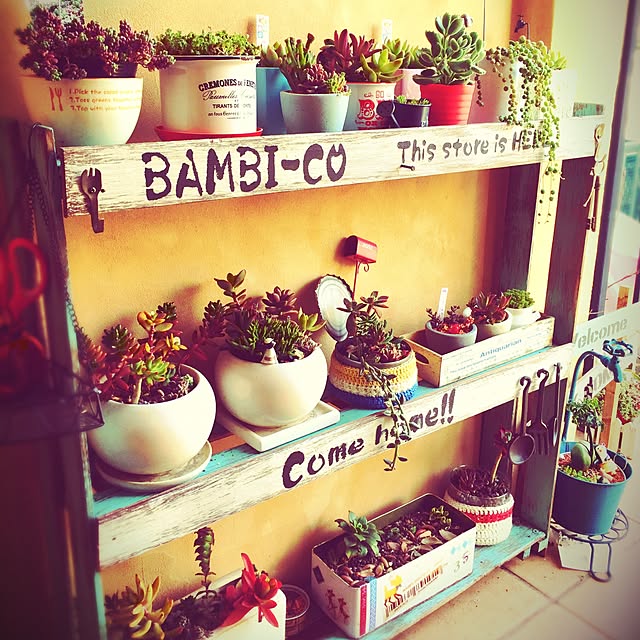 bambi-coさんの実例写真