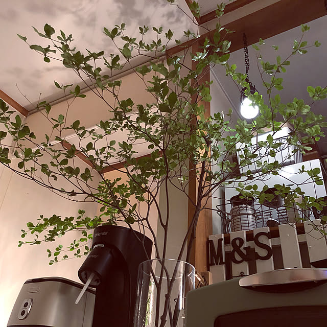 shocopyさんの実例写真