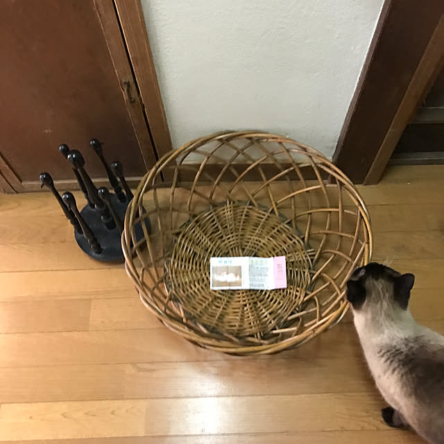 neko-2.2.2runmuさんの実例写真