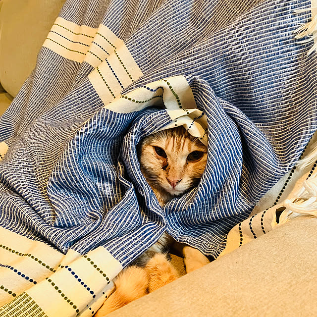 tomorinさんの部屋