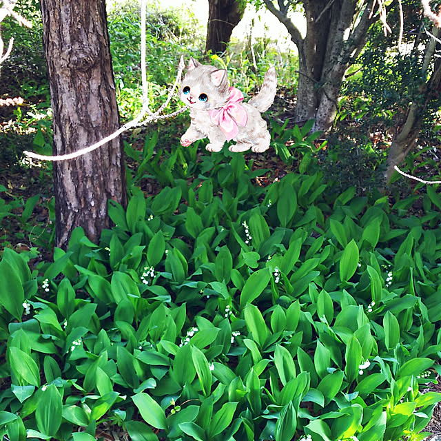 cherrycherryさんの実例写真