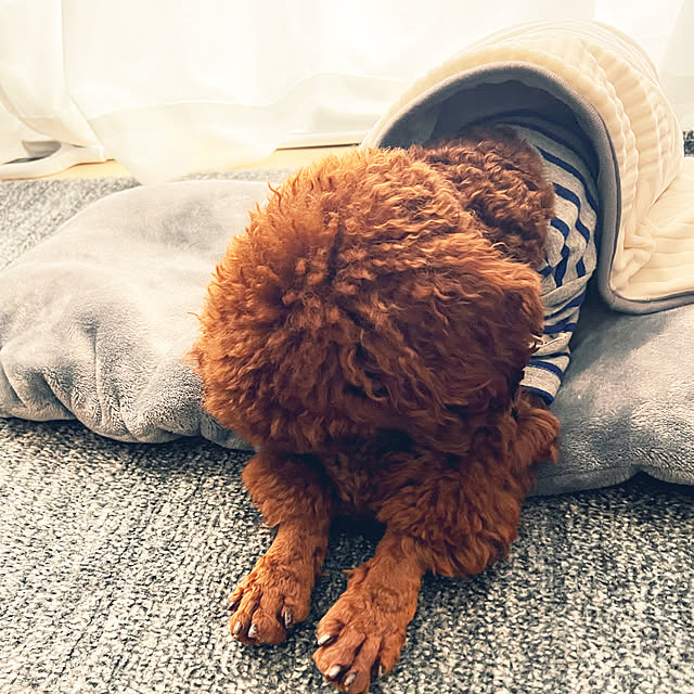 nanさんの実例写真