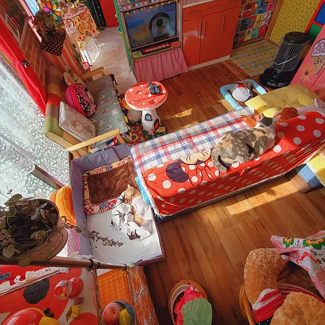 kumutanさんの部屋