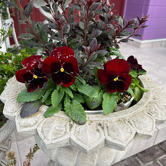 AYUKOさんの部屋