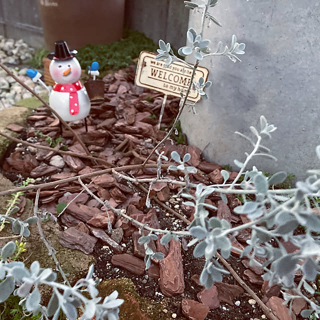 pekoさんの実例写真