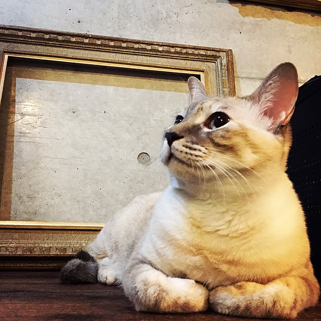 Naoki.さんの実例写真