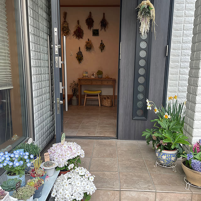 kuikoさんの部屋